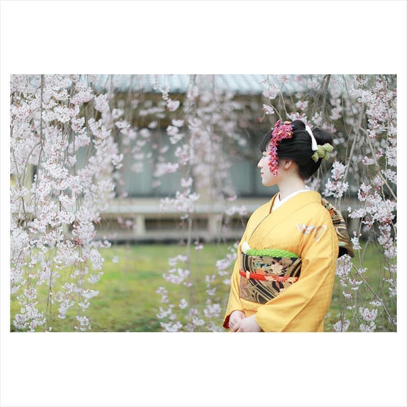 成人式前撮り撮影