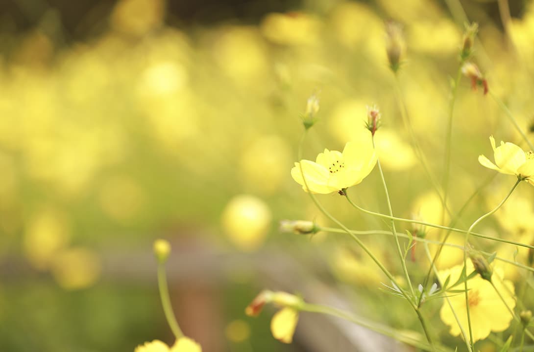 大切なお知らせ